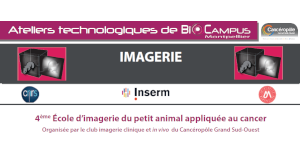 4° Ecole d'Imagerie du Petit Animal Appliquée au Cancer