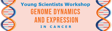 Genome Dynamics and Expression