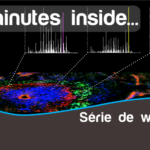 Wébinaire#12 du groupe de travail "Biologie Spatiale"