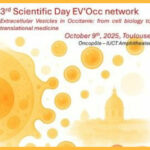 Extracellular Vesicles in Occitanie: from cell biology to translational medicine