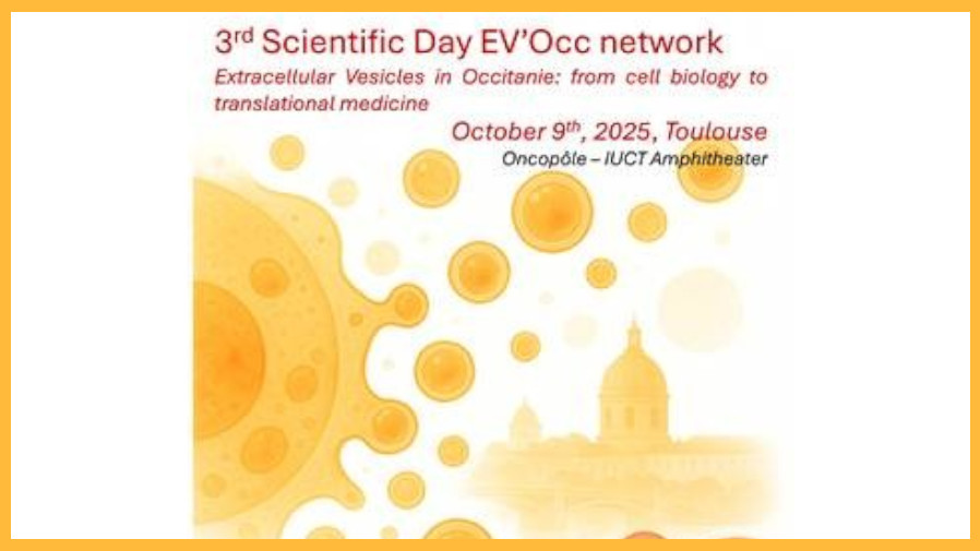 Extracellular Vesicles in Occitanie: from cell biology to translational medicine