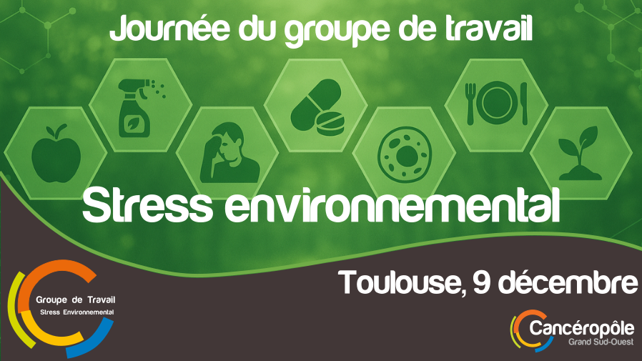 Journée de travail Stress Environnemental