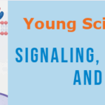 Signaling, Microenvironment and Targeting