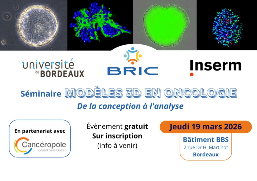 MAEA_Modeles3D_BRIC_2026