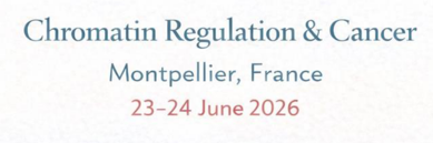 Chromatin meets South (CMS) 2026