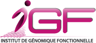 logo-IGF